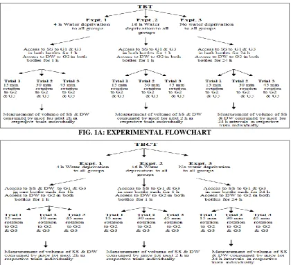 FIG. 1A: EXPERIMENTAL FLOWCHART 