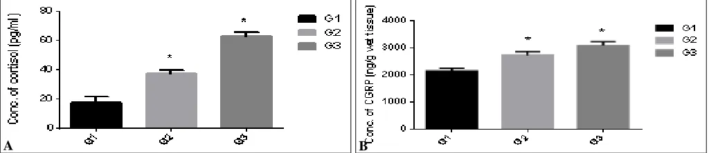 FIG. 9: A) CORTISOL LEVELS IN PLASMA SAMPLES (pg/ml); B) CGRP LEVELS IN THE BRAIN SAMPLES A 