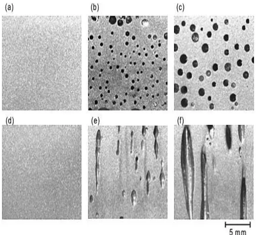 Fig. 17: Different Pores Seen on Billet 