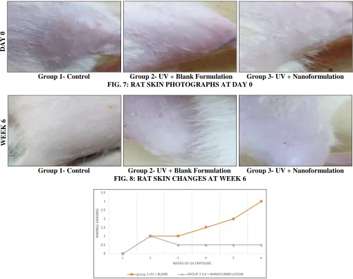 FIG. 9: SEQUENTIAL CHANGES IN WRINKLE SCORE WITH WEEKS.  * p < 0.05 compared with corresponding UV + blank group (group 2)