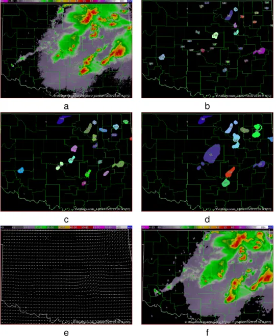 Figure 1: Multi-scale hierarchical clustering to identify storms and estimate motion. (a) Reflectivity composite field being clustered