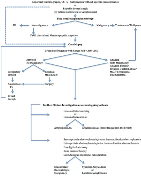 Figure 7: Flow chart for diagnosis of amyloidosis
