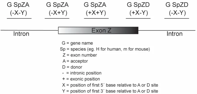 Figure 2.Nomenclature for antisense oligonucleotides.  Nomenclature for antisense oligonucleotides.