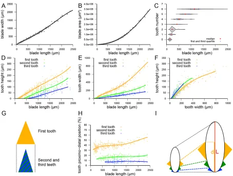 Fig. 2. Morphometrics of young leaves based on biologically relevant landmarks extracted using MorphoLeaf