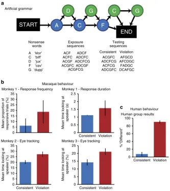 Figure 1 | The artiﬁcial grammar and monkey and human behaviour. (‘different’ relative to those heard during exposure (of the signiﬁcant effects seen in the group analyses (macaques responded more frequently and for longer durations to violation sequences 