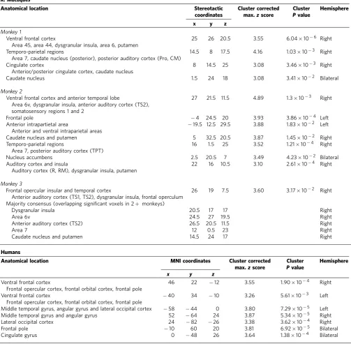 Table 1 | Anatomical locations of signiﬁcantly activated clusters in R. macaques and human participants.