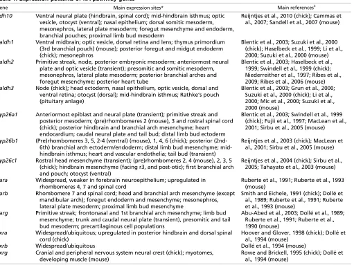 Table 1. Expression patterns of RA pathway genes