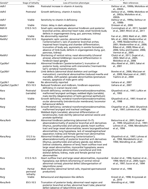 Table 2.  Loss-of-function phenotypes resulting from targeted inactivation of retinoid signalling pathway genes in mice