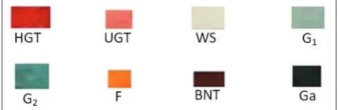Figure 1: A sample each, of the eight categories of tissue types/pigmentation, selected randomly from various wound‑beds