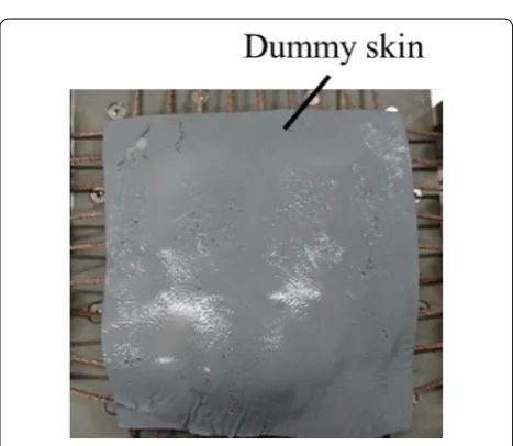 Fig. 7 Shape reproduced with dummy skin