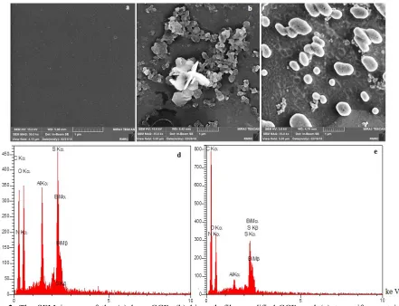 Fig. 3. bismuth film–modified GCE, and the EDS results of the (d) bismuth film–modified GCE and (e) tamoxifen-containing bismuth film–modified GCE