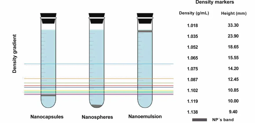 Fig. 2.  Schematic representation of the density determination of the nanoparticulate systems
