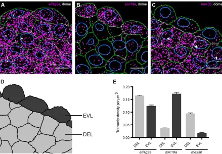 Fig. S11B). Taken together, these data show that our approach can