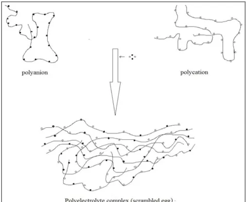 FIG. 1: SCHEMATIC REPRESENTATION OF PEC FORMATION 