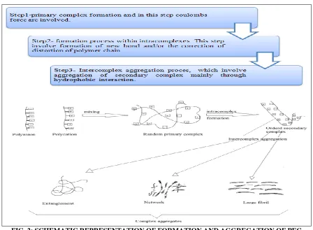 FIG. 2: SCHEMATIC REPRESENTATION OF FORMATION AND AGGREGATION OF PEC
