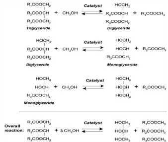 Figure 2.1: Schematic view of the chemical reaction during transesterification 
