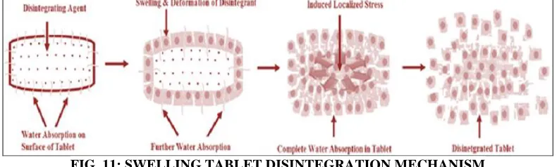 FIG. 11: SWELLING TABLET DISINTEGRATION MECHANISM 