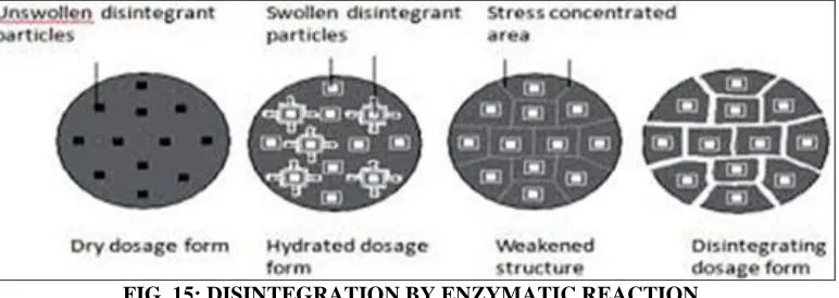 FIG. 15: DISINTEGRATION BY ENZYMATIC REACTION 