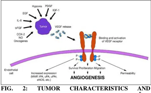 FIG. ENVIRONMENT PROMOTE VEGF EXPRESSION 