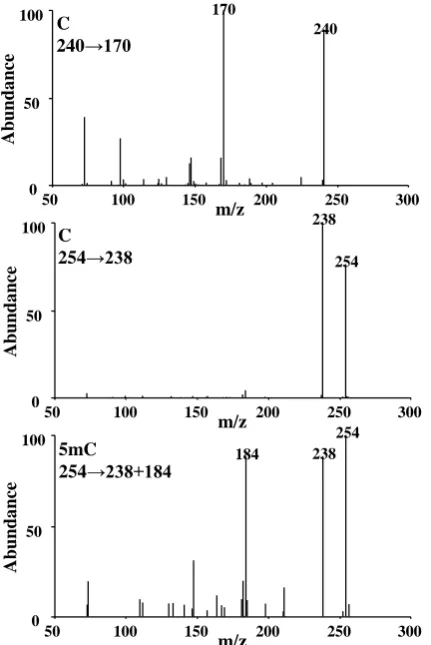 Table 4. Analytical parameters evaluated for C and 5mC in the proposed GC-TQ-MS/MS procedure