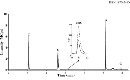 Fig. 6. Typicalnucleobases from salmon testes DNA and white blood cells digests.  GC-TQ-MS/MS chromatograms obtained in MRM mode corresponding to derivatives  