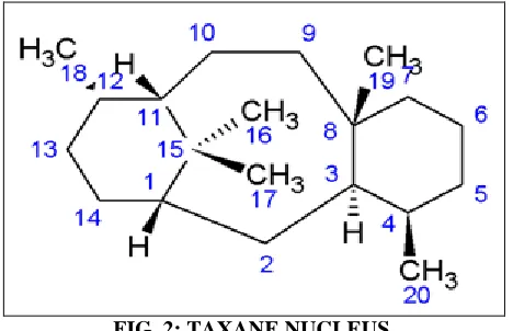 FIG. 2: TAXANE NUCLEUS. 
