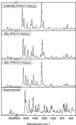 Fig. 6. Calculated and experimental IR spectra of the 2. 
