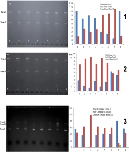 Fig. 8. with an incubation time for 12 h. Lane1: Control DNA, Lane 2: 5 µM, Lane 3: 10 µM, Lane 4: 25 µM, Lane 5: 50 µM, Lane 6:100 µM, Lane 7: 150 µM, Lane 8:200 µMPlasmid DNA cleavage (300 ng) in a Tris buffer containing (5 mM Tris/ 50 mM NaCl, pH 7.5) a