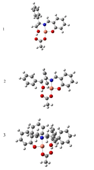 Fig. 2. The optimized molecular geometries of the copper (II) complexes, calculated by DFT/B3LYP/6-311G+(d,p) method in gas phase