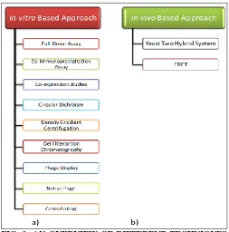FIG. 1: AN OVERVIEW OF DIFFERENT TECHNIQUES  FOR STUDYPPI’S (a) TECHNIQUES INVOLVED IN IN-VITRO APPROACH