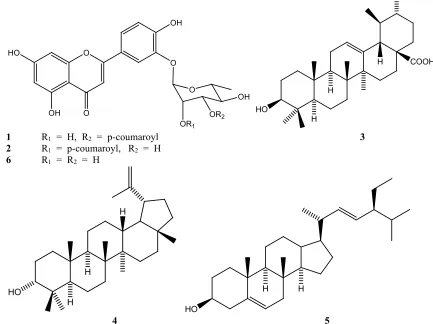 Fig. 2. Structures of the isolated compounds from the DML extract from B. copallifera leaves