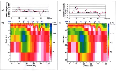 Fig. 3. (a) Distribution of static shift for the basic model. TM and TE mode static shifts are shown by pink squares and black triangles, respectively