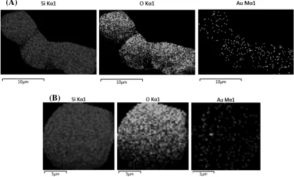 Figure 7. EDS mapping by elements of the Au/SiOratio. Similar well dispersed Au into silica was observed for the composite Au/SiO2 nanocomposite from the precursor (Chitosan•(AuCl3)n•(SiO2)m  in 1:1 (A) and 1:5 (B) molar metal polymer 2   prepared from pre