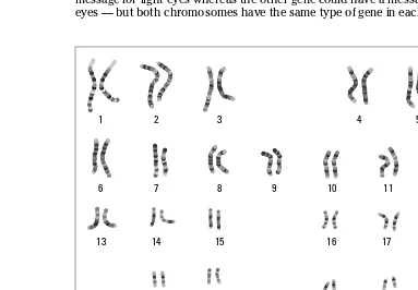 Figure 6-4: A human 