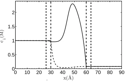 FIG. 4:Ion density proﬁles in the model, calculated for the following boundary conditions: