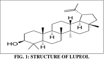 FIG. 1: STRUCTURE OF LUPEOL 