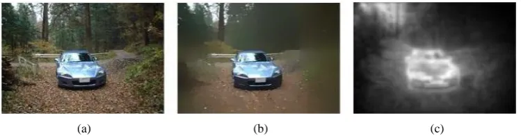 Figure 1. An example of saliency driven diffusion filtering: (a) The original image; (b) The image after diffusion; (c) The saliency map