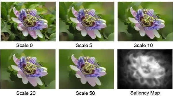 Figure 2. Different scales for an example image and its saliency map: the scale number corresponds to t in (7)
