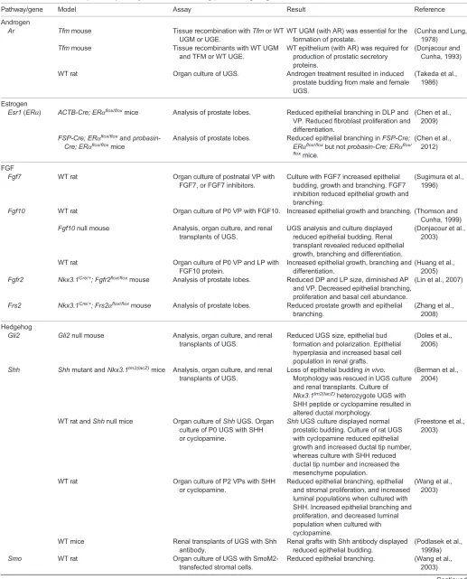 Table 1. Genes and developmental pathways that function during prostate organogenesis
