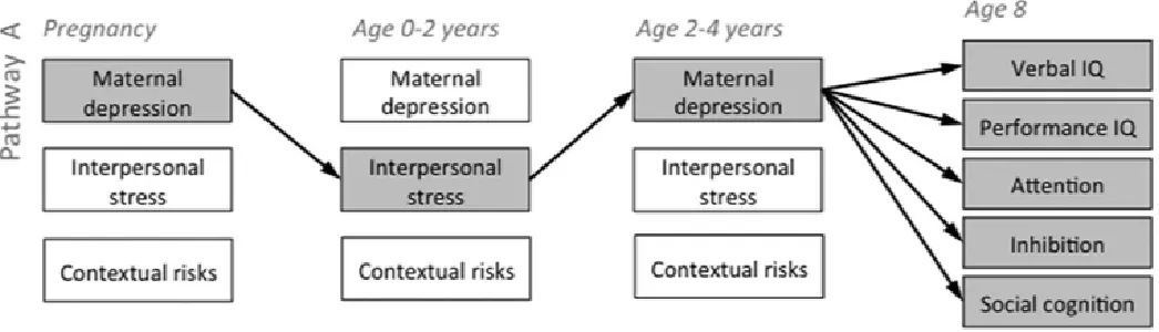 Figure 1. Schematic representation of the models used in the current study. The top portion of the figure illustrates the full ARCL 
