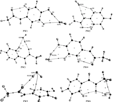 Figure 1. Molecular graphs of paracetamol (PA) and water (W) monomers. Large circles correspond to attractors attributed to atomic positions: white, H; blue, N; gray, C; red, O