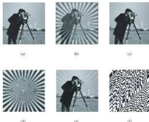 Figure 5: Watermarked case: (a) watermarked image, (b) and (c) generated mixture images, (d) extracted key, (e) extracted Cameramanimage, (f) extracted watermark.