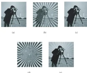 Figure 6: Unwatermarked case: (a) unwatermarked original image, (b) and (c) generated mixture images, (d) extracted key, (e) extractedCameraman image.