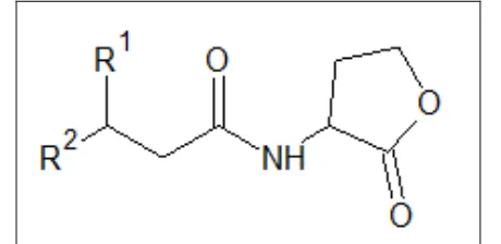 FIG. 1: BASIC STRUCTURE OF THE AHL SIGNAL  MOLECULE WHERE R1 = H, OH, OR O AND R2 = C1–C18 28 