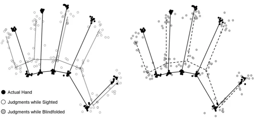 Figure 2: Hand maps in the two conditions placed in generalised Procrustes superimposition (GPS) alignment with maps of each participant’s actual hand
