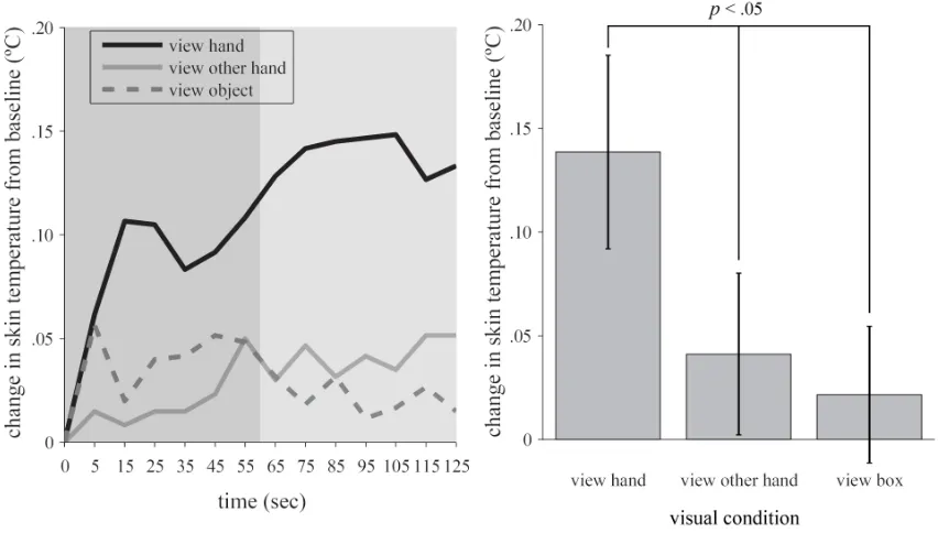 Figure 1: Changes in the left hand dorsum skin temperatures (Experiment 1). Left panel: The 