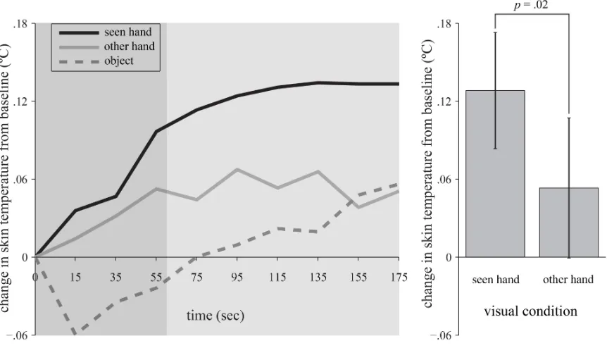 Figure 2: Changes in skin temperature of the right and left hand dorsum (Experiment 2)