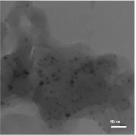 Figure 1. SEM image of modified SBA-15/metformin/palladium catalystTEM image of catalyst clearly shows the activated sites of Pd particles trapped in metformin net in the size range of 5-15 nm (Figure 2)