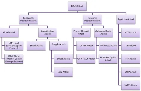 Figure 1. DDoS Attack Taxonomy  