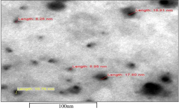 FIG. 4: TEM SHOWING MORPHOLOGY OF EMULSION DROPLETS  